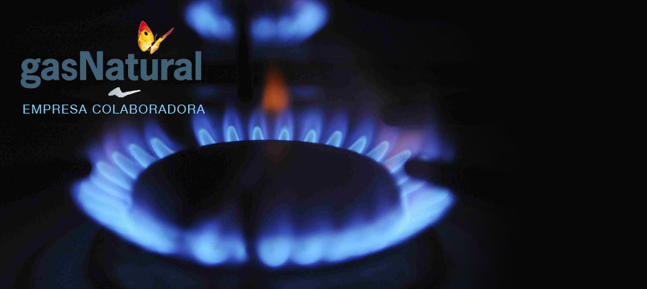 Instalador Gas Natural